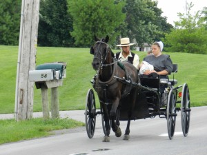 Amish People USA                                 